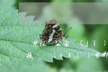 檢察院給公安機(jī)關(guān)送提綱時(shí)有哪些要求？